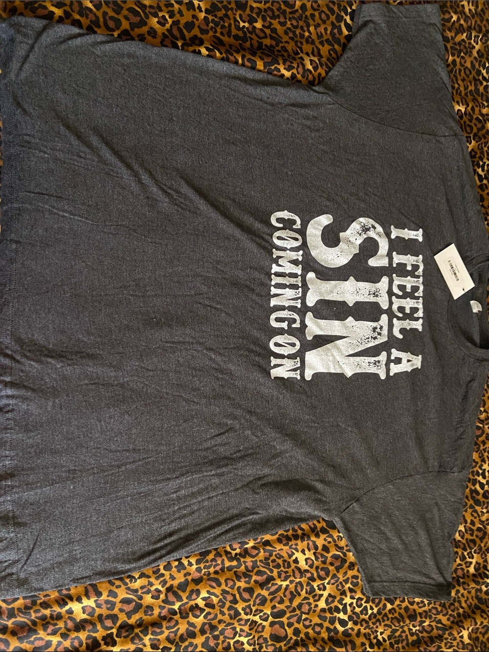 Tultex Women’s Charcoal Gray T-Shirt 'I Feel a Sin Coming On' Print